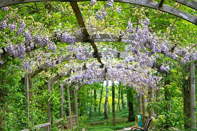 Pergola s květinami vypadá skvěle. 