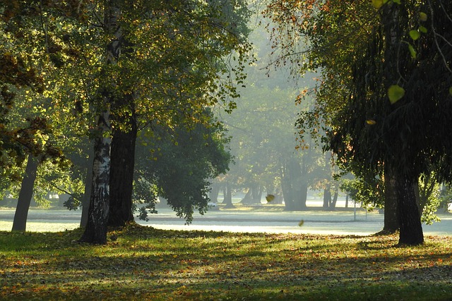 park v Českých Budějovicích